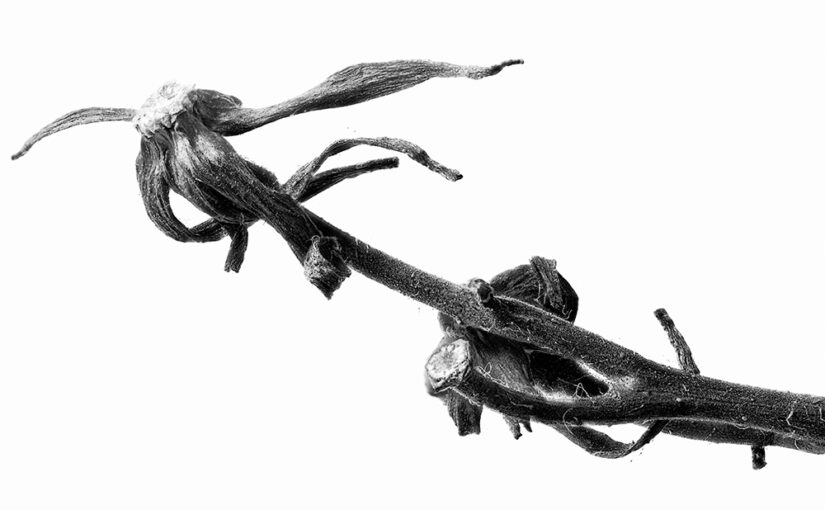 Apr 21 – Dead end