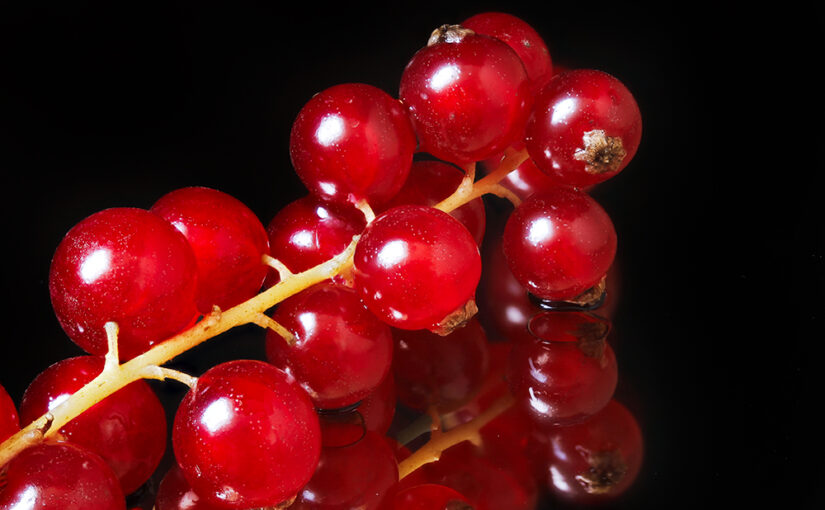 Apr 26 – Redcurrants