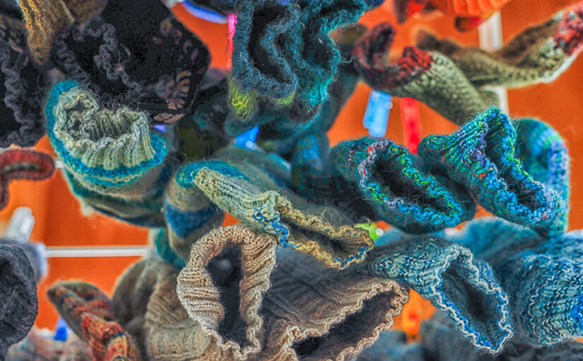 Jun 22 – Socks