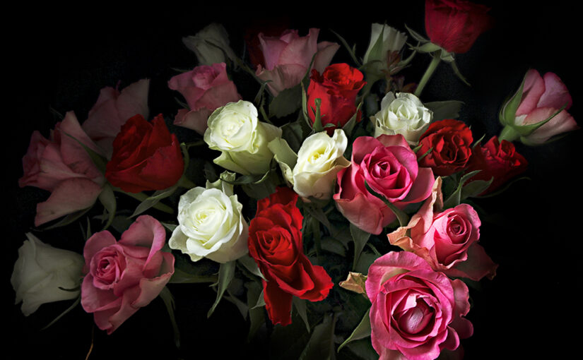 Jun 25 – Roses