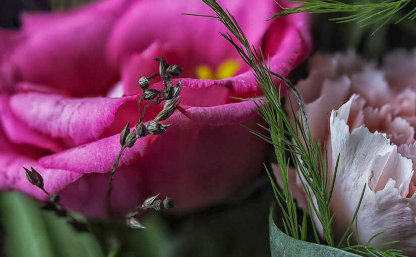 Nov 09 – Bouquet