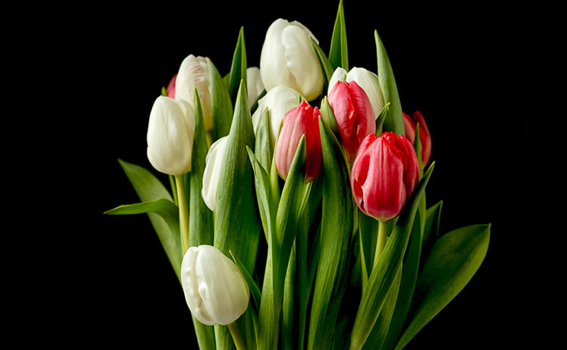 Fresh flowers in the house