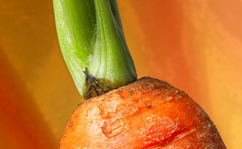 Detail of a carrot