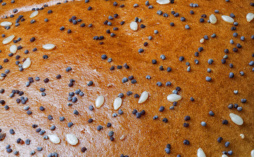 Jan 29 – Seeds