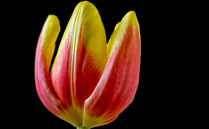 Mar 13 – One