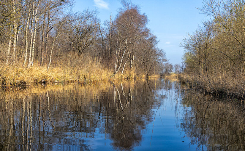 Mar 26 – Landscape