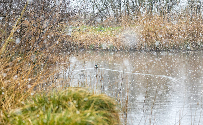 First snow for me this year. A good day to stay indoors with a warm wood fire and a cup of tea (or something stronger)
