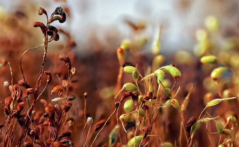 Apr 23 – Growing