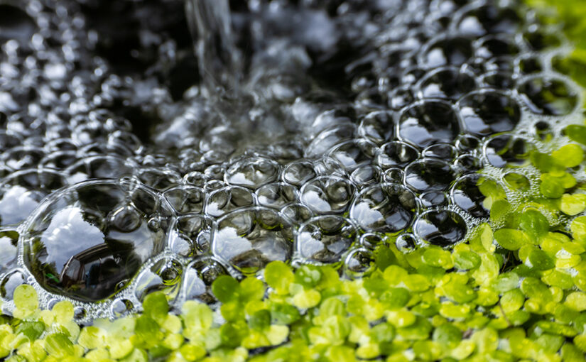 May 13 – Bubbles