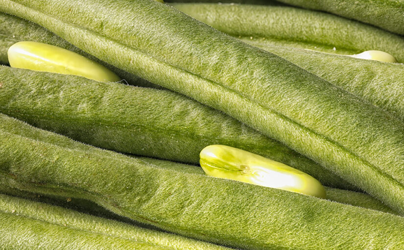 May 29 – Green beans