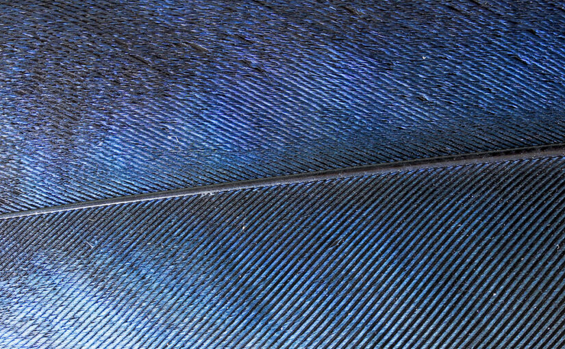 Jul 14 – Blue