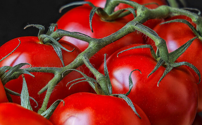 Aug 09 – Tomatoes