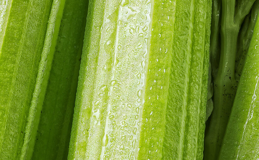 Aug 17 – Green