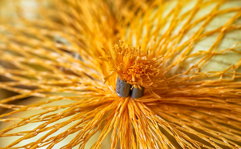 Aug 20 – Orange