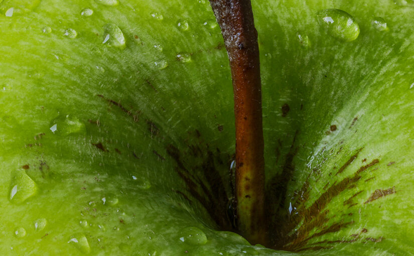 Aug 23 – Hole