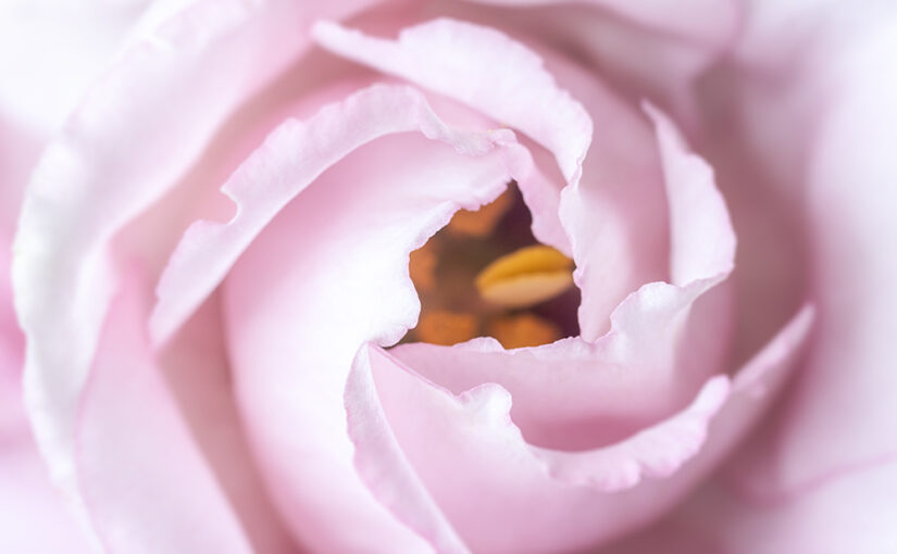 Sep 24 – Soft
