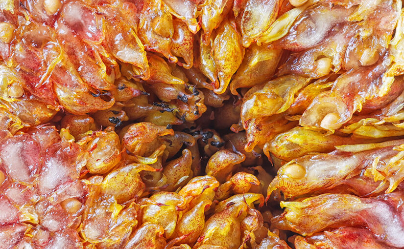 Oct 02 – Fruity