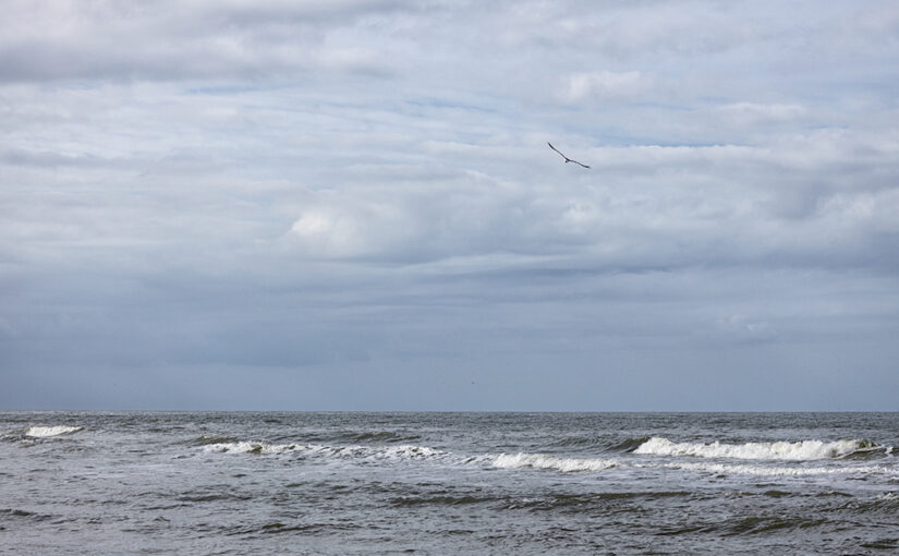 View from the beach
