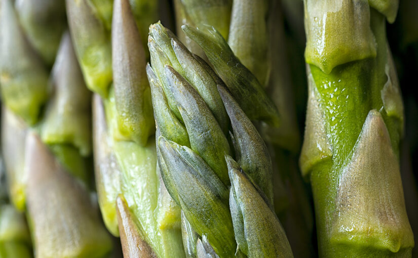 Oct 22 – Vegetable