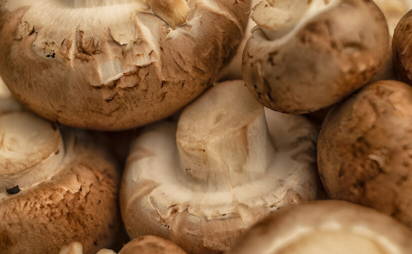 Nov 20 – Mushrooms