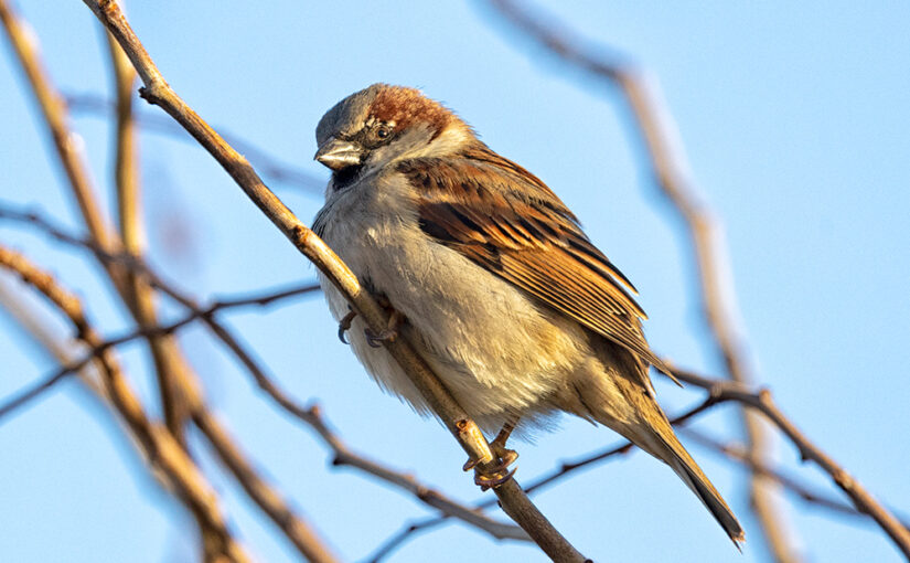Dec 15 – In the afternoon sun