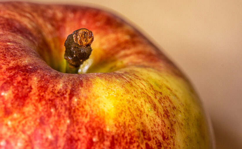Feb 10 – Apple
