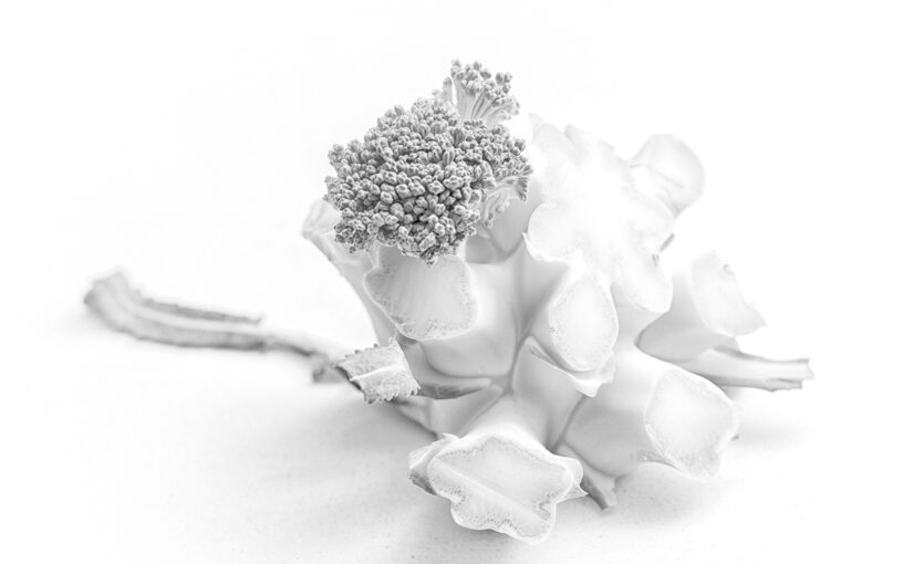 Feb 12 – Veggie
