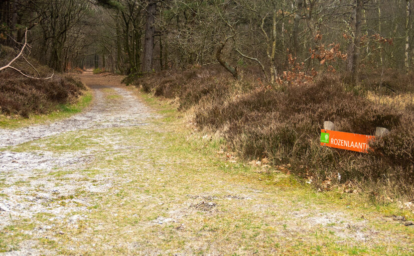 Mar 29 – Path