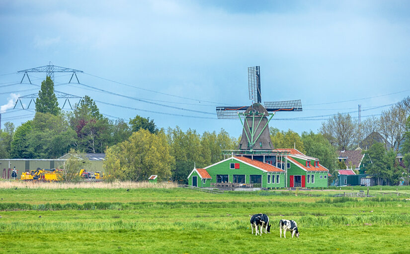 May 10 – Landscape with cows