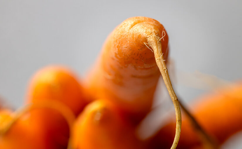 Dec 10 – Carrots
