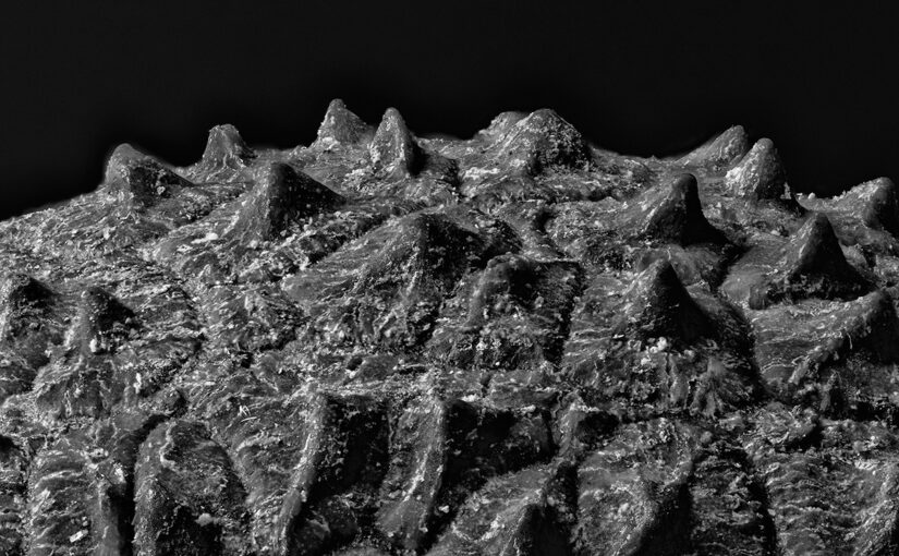 Dec 29 – The dark side of the moon
