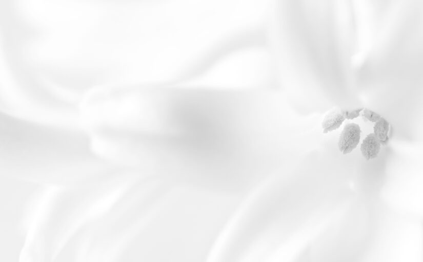 A white hyacinth in black and white