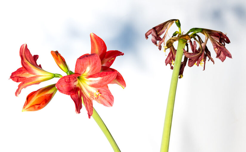 Jan 14 – New and old