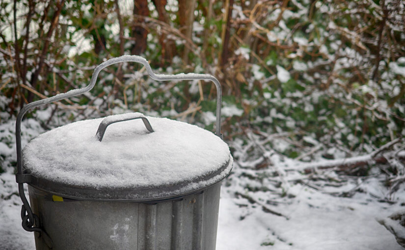 Jan 16 – Bin