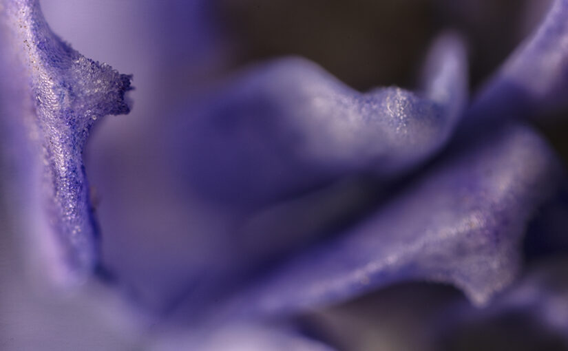 Feb 21 – Abstract in purple