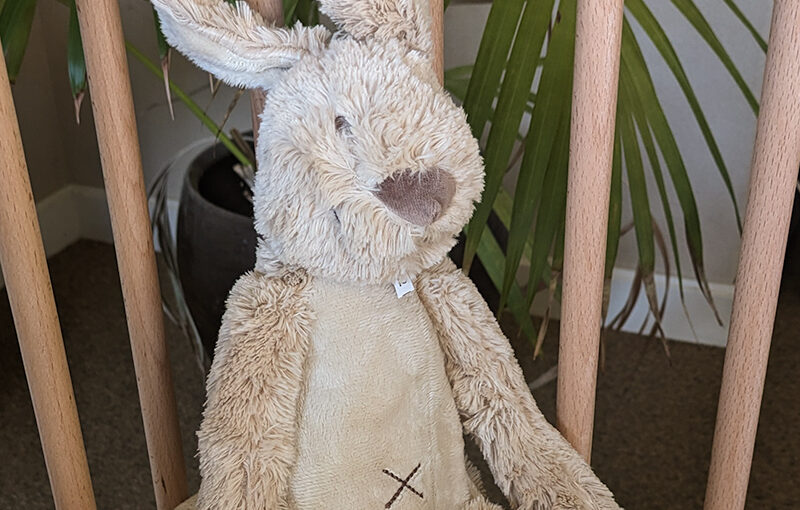 Mar 04 – Rabbit