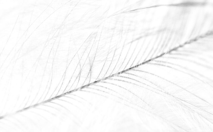 Mar 10 – Feather