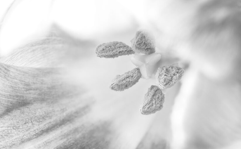 Mar 18 – No color