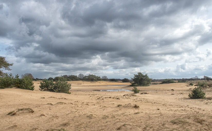 Mar 25 – Sand and sky