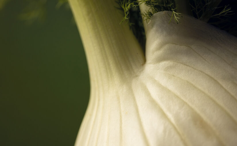 Apr 02 – Vegetable
