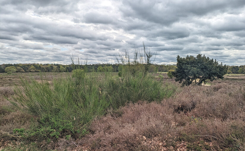 Landscape on a short walk near Blaricum
