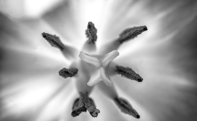 Apr 21 – Centered