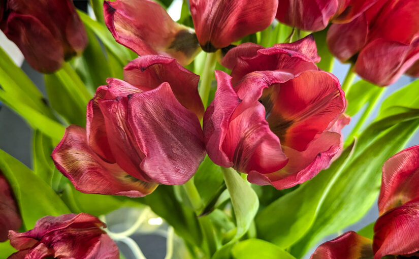 May 02 – Old ones