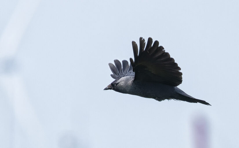 May 06 – In flight