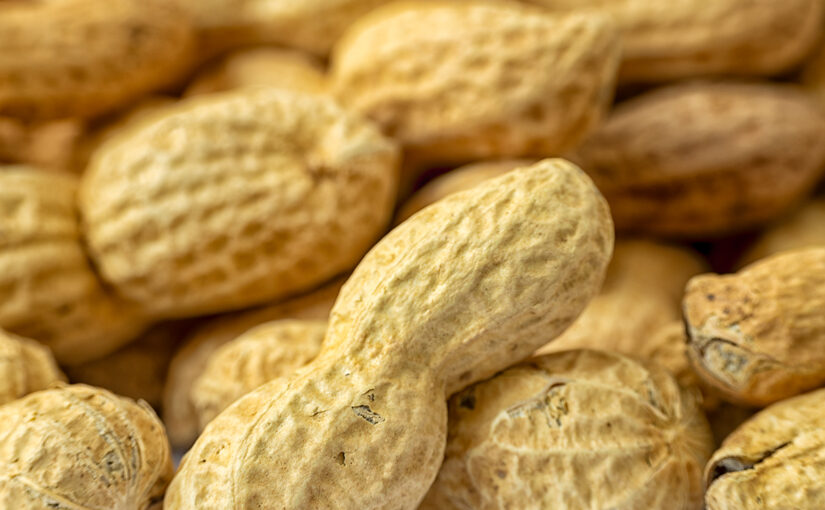 May 07 – Peanuts
