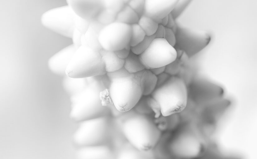 May 16 – Shapes