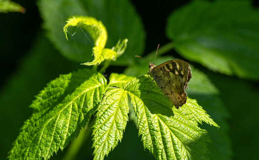 May 19 – Light and shadows