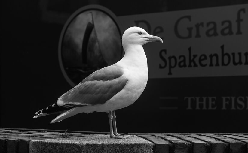 May 25 – Waiting