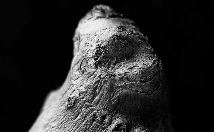 May 26 – Dragon face
