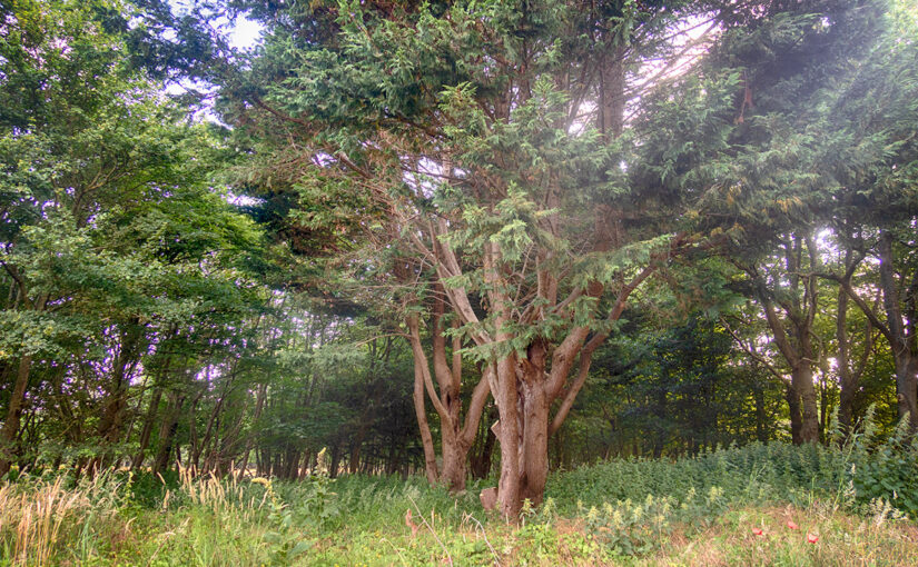 Jun 28 – The end